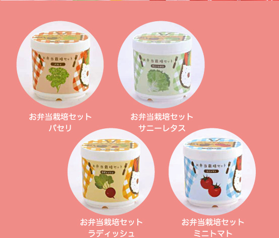 お弁当栽培セット 2010年2月発売予定
